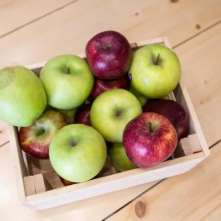 Lägenhet Modern Est.6