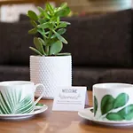 Apartment Modern Est.6 Thessaloniki